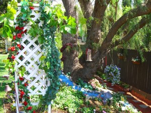 garden